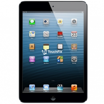 onszelf vloek Machtigen Tweedehands iPad Mini [ OCCASION ]